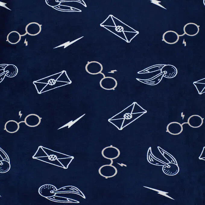 Character Disney Harry Potter Ladies' Fleece 2-piece Pajamas Silky Soft | D45