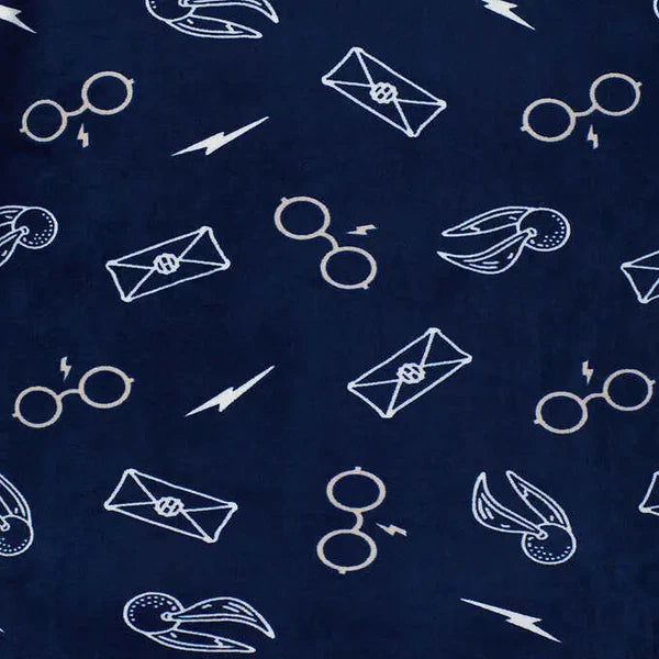 Character Disney Harry Potter Ladies' Fleece 2-piece Pajamas Silky Soft | D45